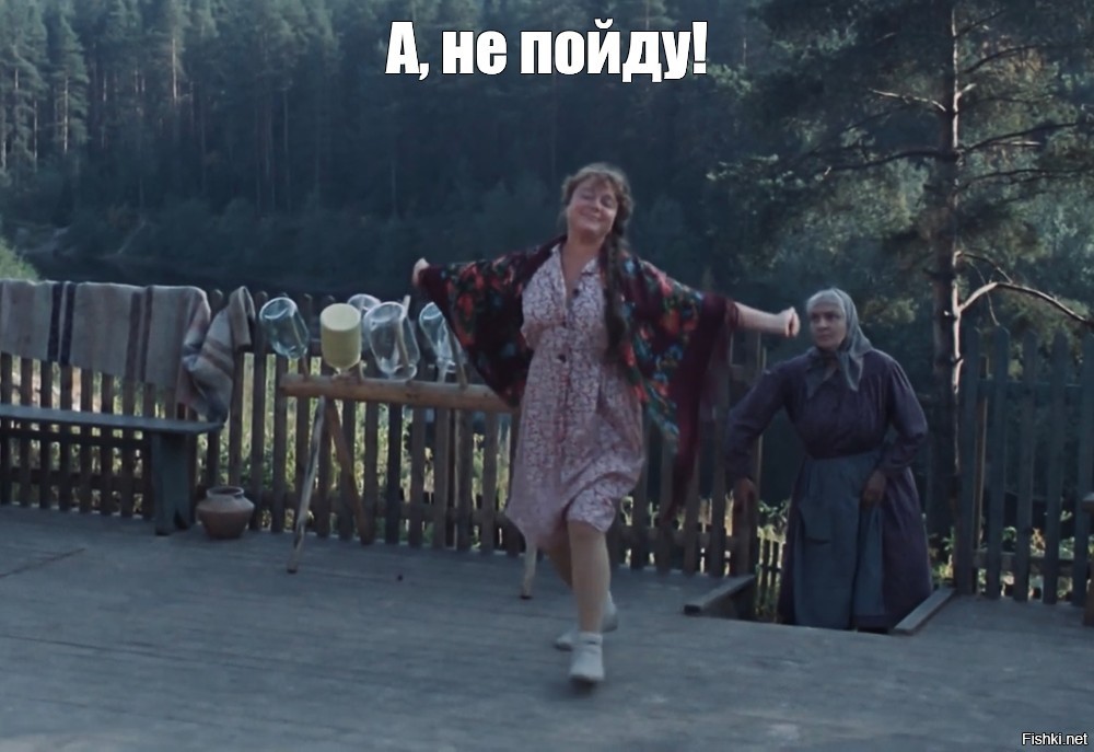 Кот зовёт кошку на прогулку