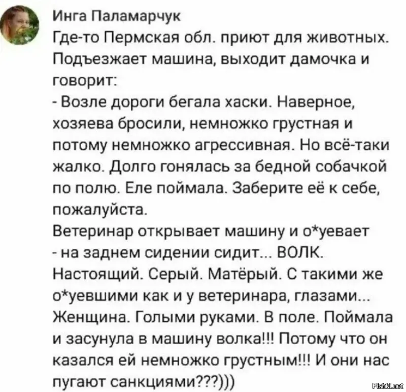 Почему волки в цирке не выступают
