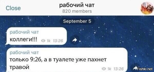 Да уж... В чате 820 человек 1000 просмотров и все знают про какой туалет идёт речь