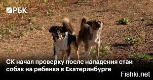 Уважаемый автор, вот несколько картинок, которые лучше подойдут для иллюстрации новости!
