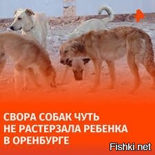 Уважаемый автор, вот несколько картинок, которые лучше подойдут для иллюстрации новости!
