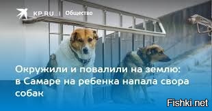 Уважаемый автор, вот несколько картинок, которые лучше подойдут для иллюстрации новости!