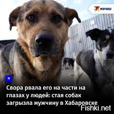 Уважаемый автор, вот несколько картинок, которые лучше подойдут для иллюстрации новости!