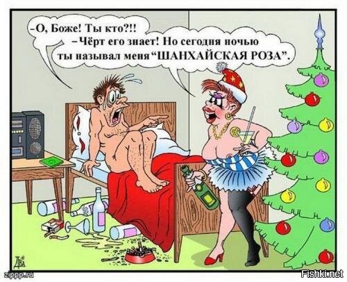 Солянка от 12.12.2024