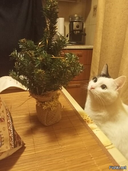 Встречаем Пятницу !