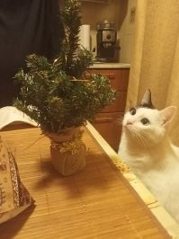 Встречаем Пятницу !