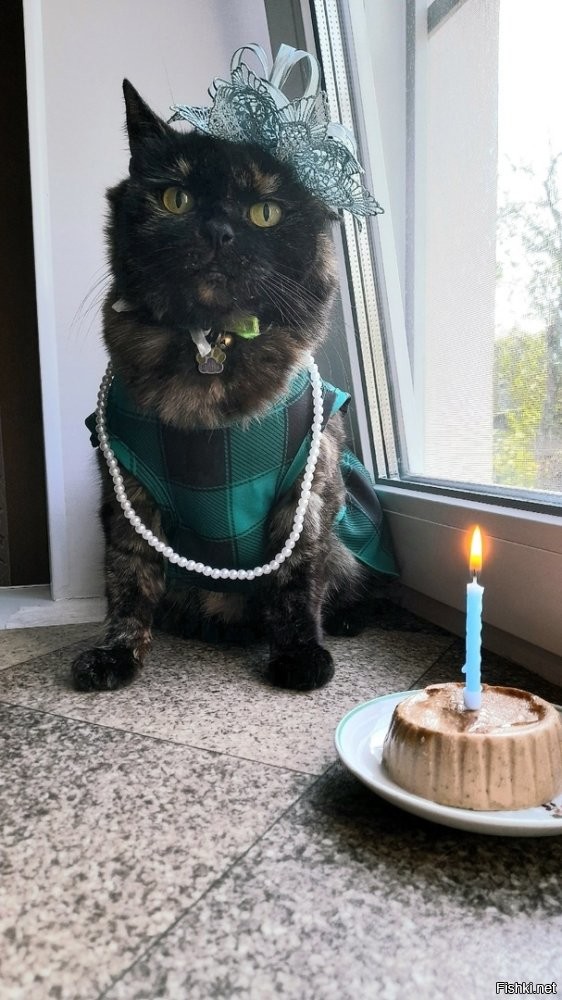 Я своим девочкам тоже ДР устраиваю. 
Скоро третья подрастёт )))