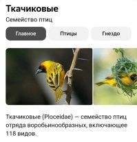 Такого нужно было брать.