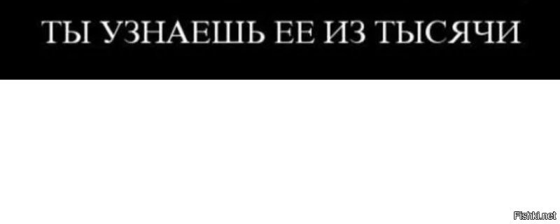 Не ищите здесь смысл. Здесь в основном маразм
