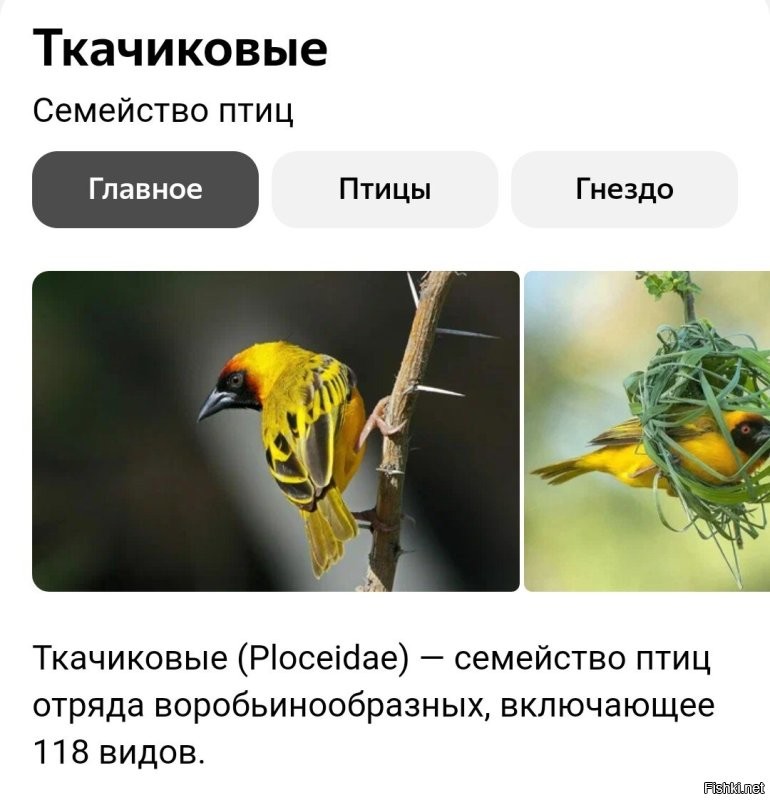 Такого нужно было брать.