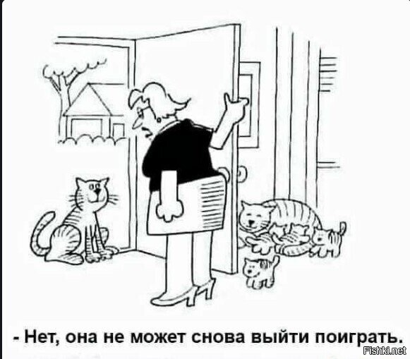 Кот зовёт кошку на прогулку