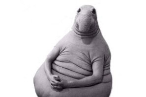 я предпочту в сложной ситуации сразу сдохнуть, желательно во сне на проститутке.