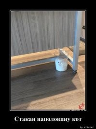 Навстречу свободе