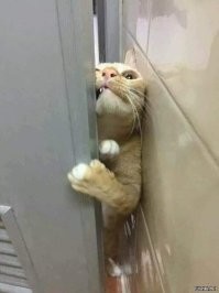 Навстречу свободе