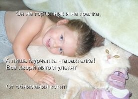20+ котанов, которые умеют оказывать терапевтическое действие и делают это на профессиональном уровне