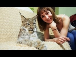 Нужно было Катюху с канала бобкет звать, она с ними находит общий язык)