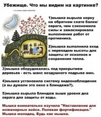 Базара нет, власти знают об убежище и придут на помощь.  Но, если твой каркасник сложится сверху на единственный выход из этого погреба, и начнётся пожар.. к прибытию властей, которые будут расчищать завал и спасать пострадавших - вы уже будете напоминать печёную картошку.
По этой причине, при проектировании убежищ, их либо относят в сторону от построек, которые могут сложиться на убежище сверху, либо оборудуют вторым выходом. В противном случае, есть шанс сами себе создать западню и даже просто задохнуться, если не предусмотрен приточный вент канал, и продуктами горения -вас просто потравит.  Я на видео не узрел каких-то продуманных мер по фильтрации воздуха  и прочих решений по обеспечению жизнедеятельности.  Это просто погреб.