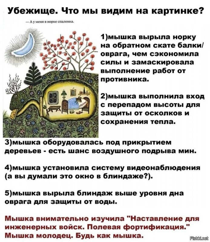 Базара нет, власти знают об убежище и придут на помощь.  Но, если твой каркасник сложится сверху на единственный выход из этого погреба, и начнётся пожар.. к прибытию властей, которые будут расчищать завал и спасать пострадавших - вы уже будете напоминать печёную картошку.
По этой причине, при проектировании убежищ, их либо относят в сторону от построек, которые могут сложиться на убежище сверху, либо оборудуют вторым выходом. В противном случае, есть шанс сами себе создать западню и даже просто задохнуться, если не предусмотрен приточный вент канал, и продуктами горения -вас просто потравит.  Я на видео не узрел каких-то продуманных мер по фильтрации воздуха  и прочих решений по обеспечению жизнедеятельности.  Это просто погреб.