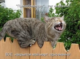 17 финалистов Международной премии за комедийную фотографию домашних животных 2024
