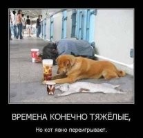 Барахолка позитива