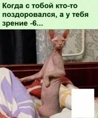 Когда хочешь незаметно пёрнуть в людном месте