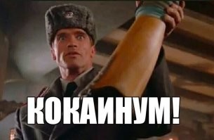 Как француз пытался провезти наркотики в Нидерланды
