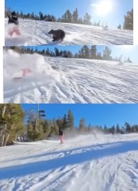 А куда медведь делся?