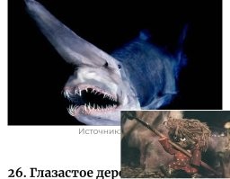 35 случаев, когда люди сталкивались с пугающими творениями природы