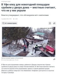Это карма!!!!

"По версии одной из возмущенных местных жительниц, рабочие спилили и увезли дерево, пока «собственники были на работе».

  Вот так растишь ель более 20 лет, а потом втихую приезжает машина от администрации, спиливает и выдает за «подарок» Дёмскому району за счет людей, которые все эти годы любили и заботились о елке,   написала пользовательница Ирина Двинских.   Как теперь объяснить ребенку, где его елка, которую он каждый год украшал? Что сказать? Что дяди и тети из администрации всё кошельки свои не пополнят?"