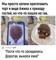 В принципе похоже, просто не на ёжика, но тоже с колючками