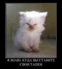 30 очаровательных малышей, в которых невозможно не влюбиться