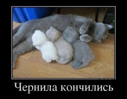 30 очаровательных малышей, в которых невозможно не влюбиться