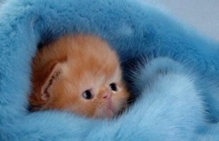 30 очаровательных малышей, в которых невозможно не влюбиться