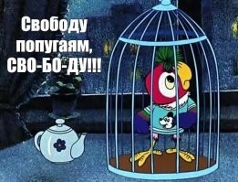 «Свободу пернатым!»:  попугай-бунтарь вырывает от стены антиптичьи шипы