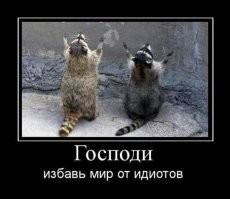 Прости господи.
Один "кинутый" кот и тот просто выставлен на улицу по тому что хозяин Де"Билл, а го вна по стране разлетелось ... на почти год обсуждений.
Лучше бы о пенсионерах или бездомных детишках так переживали.