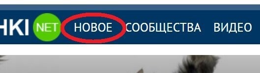 Представьте себе, уважаемый Добрый Самаритянин, что у меня получается мониторить сайт гораздо реже, чем Вы думаете. Выражаясь Вашей терминологией, где-то 2/4. И нажимая на указанную вкладку, я действительно хочу видеть новое, а не, постоянно встречающиеся здесь, повторения (баяны)!