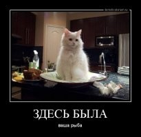 Пушистые любители рыбы