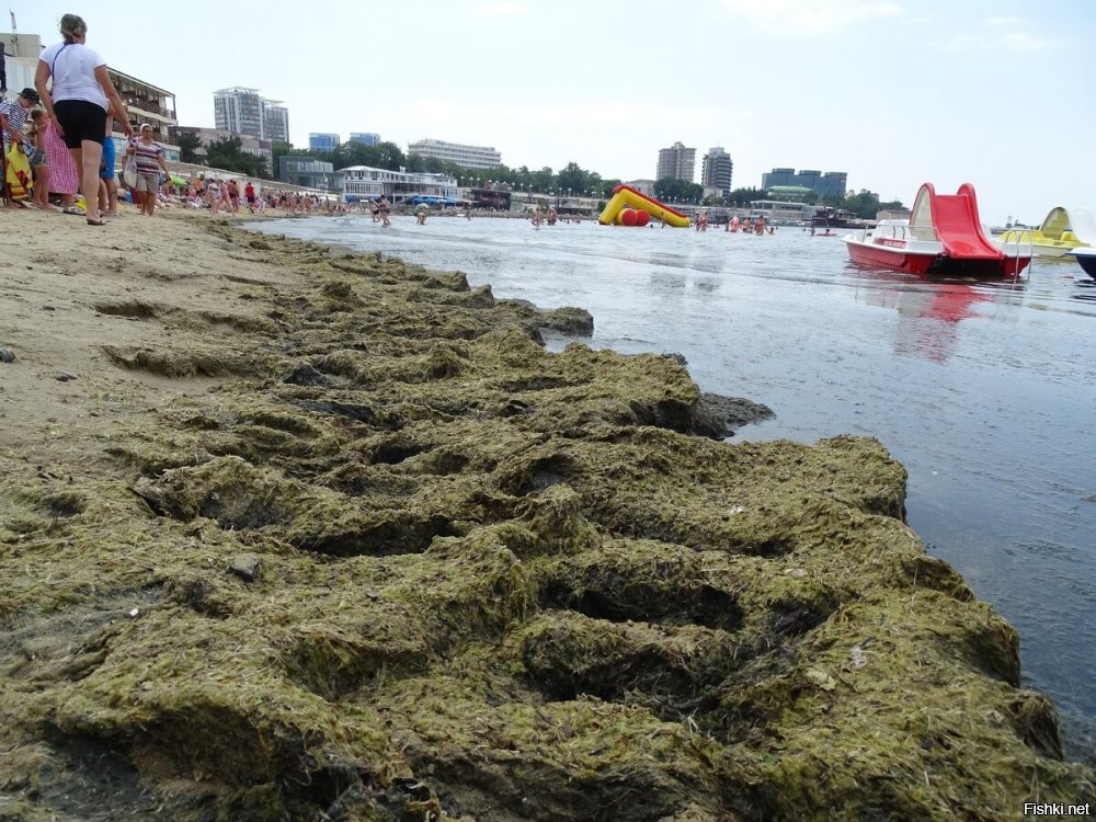 Водорослями присыплет летом, никто и не заметит разницы, вонища от гниющих водорослей перебьет нефтяной запах!