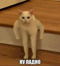 Забавные реакция котов на фокусы