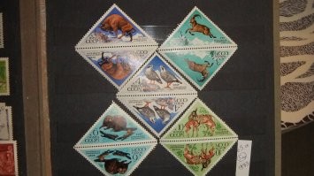 У меня двенадцать кляссеров фауны, у коллекции тоже *тяжёлая судьба*. Вот как эти треугольные сцепки (это мои) должны быть -