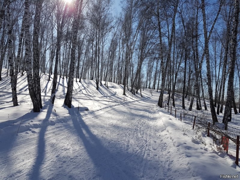 Солянка от 19.12.2024