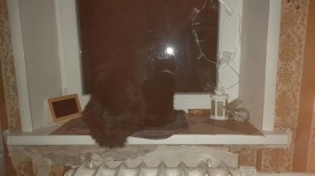 Передача знаний подрастающему поколению