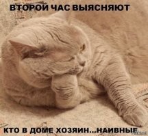 Улыбатор. Большая подборка