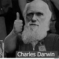 А мошенники были хохляцкие...   Безмозглому чмо припишут теракт и дадут лет пятнадцать.