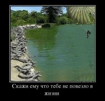 Улыбатор. Большая подборка