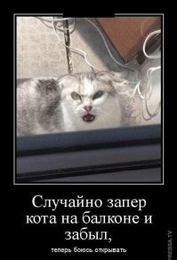 Улыбатор. Большая подборка
