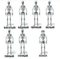 Улыбатор. Большая подборка