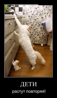 Передача знаний подрастающему поколению