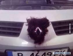 Улыбатор. Большая подборка