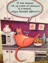 Улыбатор. Большая подборка